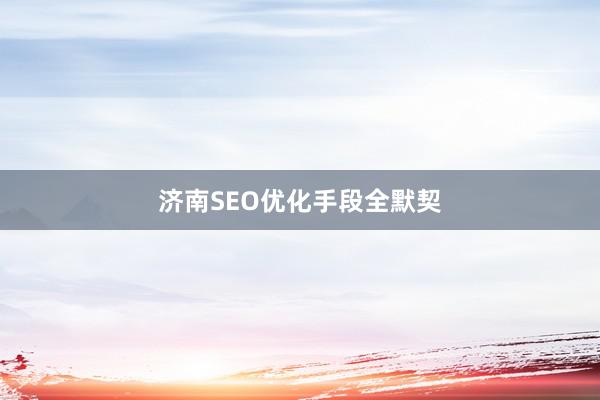 济南SEO优化手段全默契