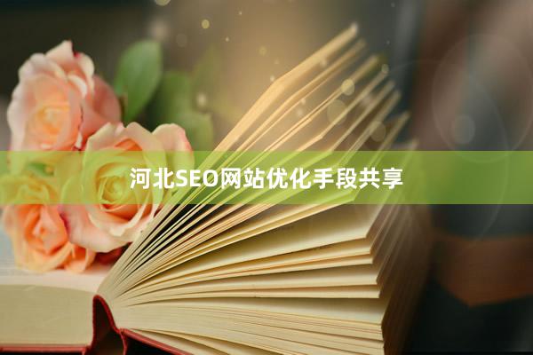 河北SEO网站优化手段共享