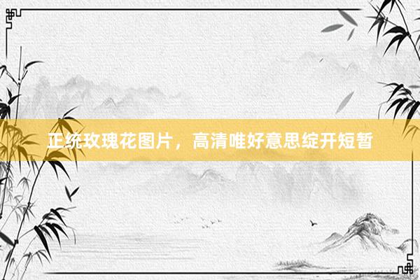 正统玫瑰花图片，高清唯好意思绽开短暂